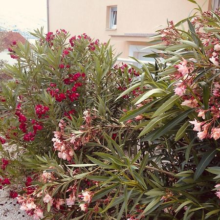 House Agradable Seget Vranjica Exterior foto